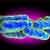 legionella1