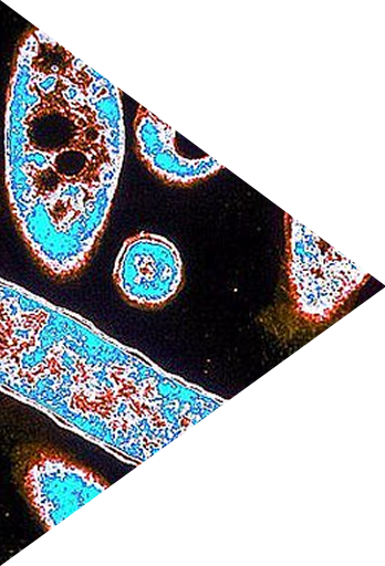 Legionella_compliance_checklist_LP.png