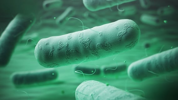 5 reasons your legionella control scheme may not be working