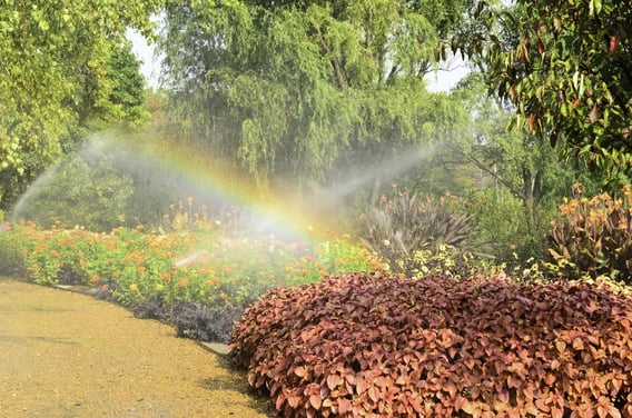 Legionella control in summer