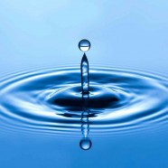 Water Hygiene for Brothers of Charity Services