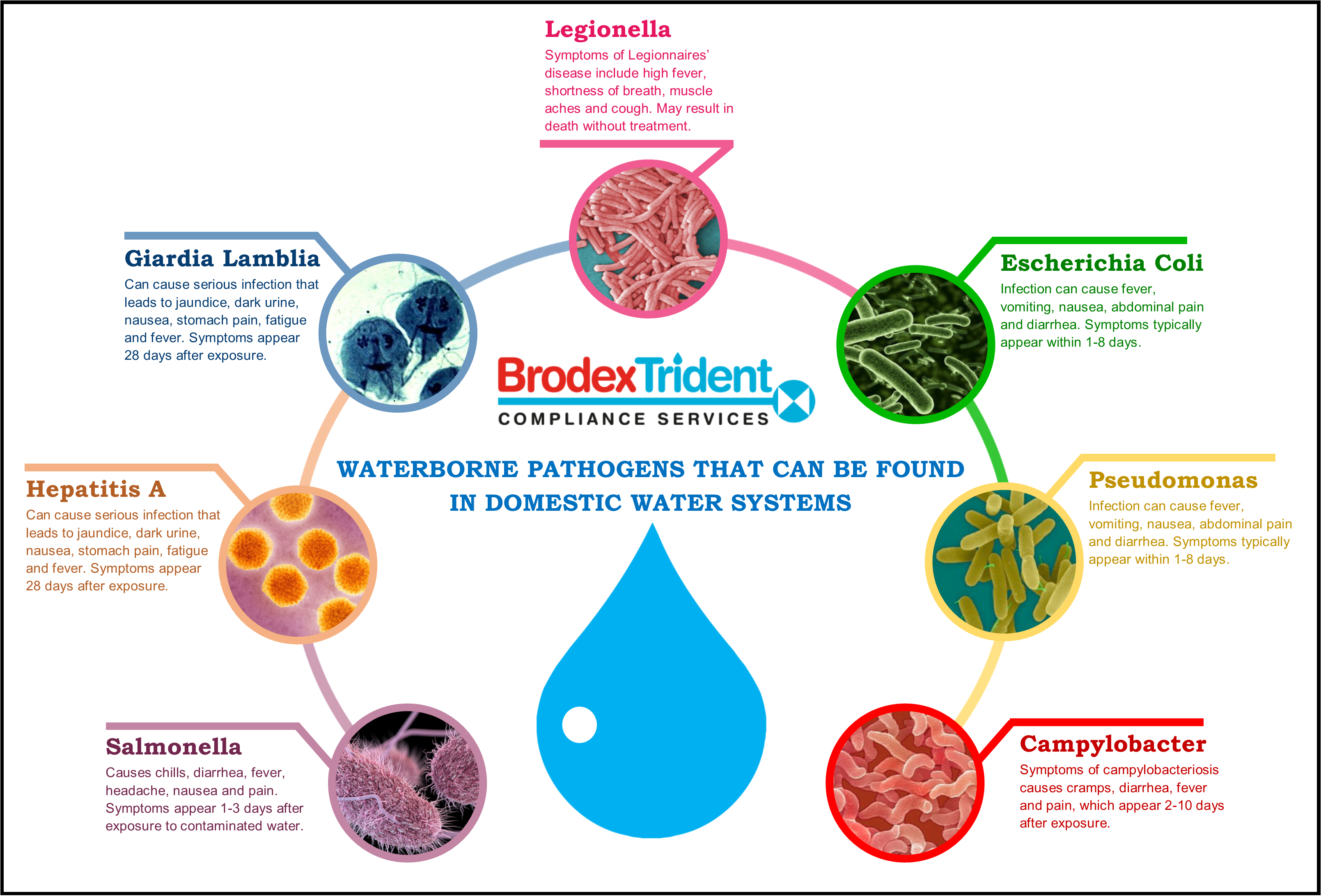 BT - Waterborne pathogens that can be found in domestic water systems.png
